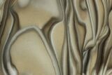 Polished Striped Flint Stand Up - Poland #334954-1